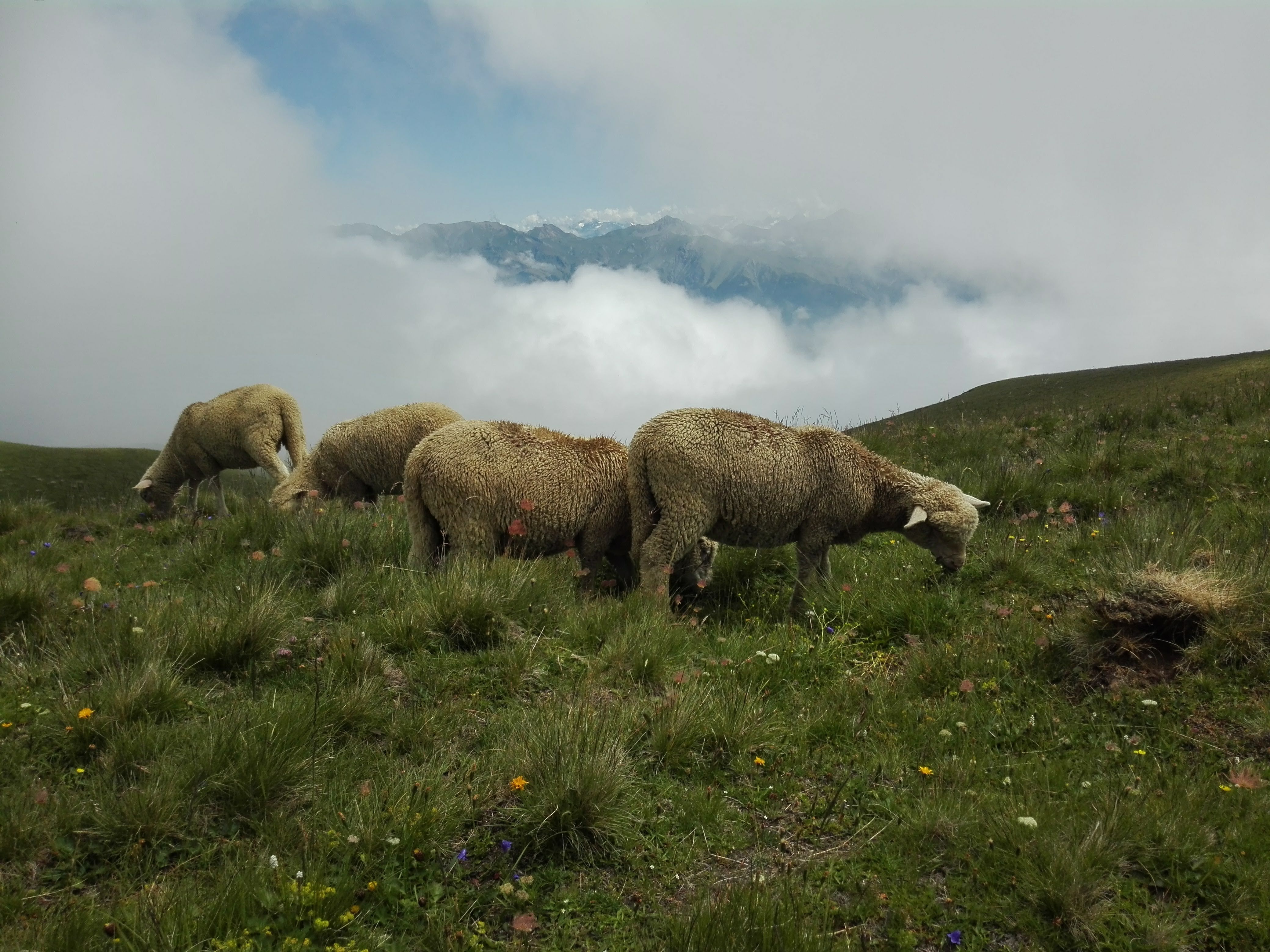 Photo n° 8 de l'avis de KATEL. fait le 30/07/2019 à 19:09
