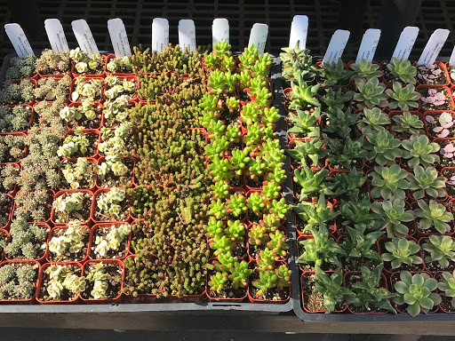 Hardware Store «Santa Barbara Home Improvement Center», reviews and photos, 415 E Gutierrez St, Santa Barbara, CA 93101, USA