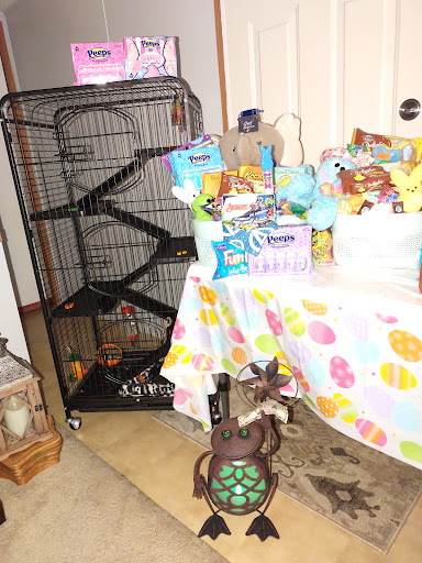 Pet Supply Store «Coastline Pet Supply», reviews and photos, 3530 Northgate Dr, Myrtle Beach, SC 29588, USA