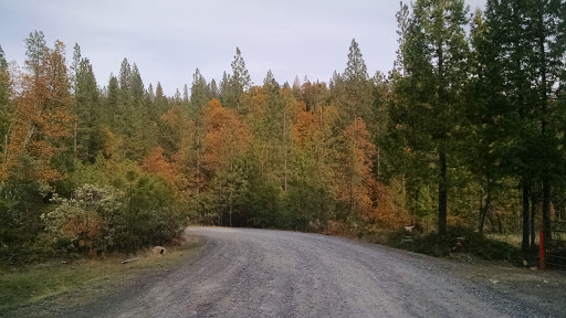 Saul Plumbing Inc in Avery, California