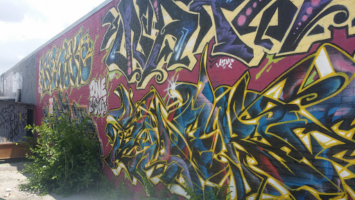 Used Clothing Store «Buffalo Exchange Austin», reviews and photos, 2904 Guadalupe St, Austin, TX 78705, USA