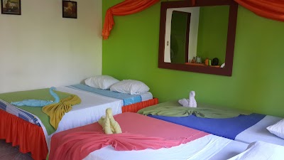 Photos of Tortuguero Natural B&B