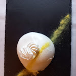 Photo n°5 de l'avis de Mara.i fait le 10/03/2024 à 14:03 sur le  Ristorante Albergo Da Ca' Vecia à Spilamberto