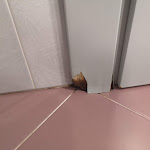 Photo n°3 de l'avis de Cristiano.a fait le 12/09/2020 à 09:42 sur le  Albergo alla Rosa - B&B à Canazei