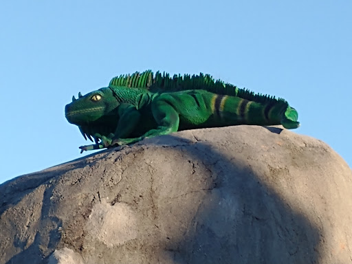 Tourist Attraction «Coconut Creek Family Fun Park», reviews and photos, 9807 Front Beach Rd, Panama City Beach, FL 32407, USA