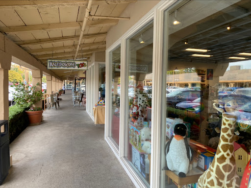 Toy Store «Kaleidoscope Toys», reviews and photos, 2421 Magowan Dr, Santa Rosa, CA 95405, USA