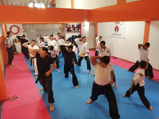 Escuela Tao Hu Long Kung Fu, Hapkido