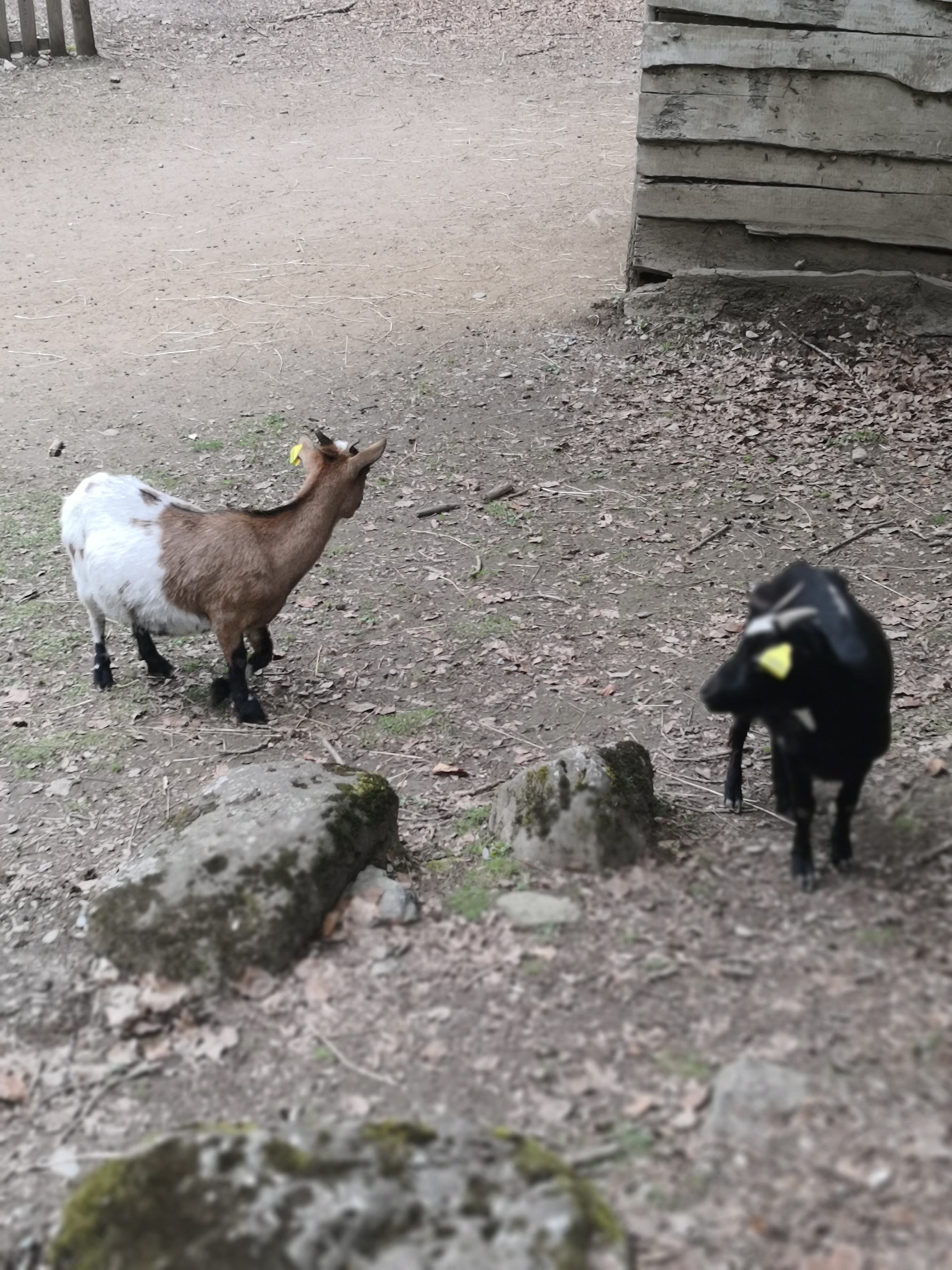 Photo n° 1 de l'avis de Denis.a fait le 08/06/2019 à 09:49