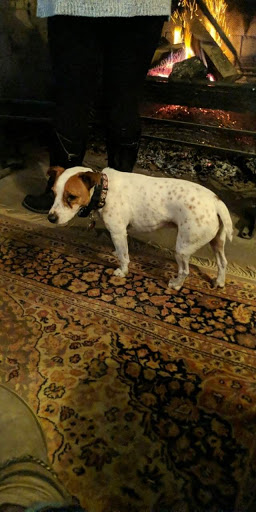 Vineyard «Harpersfield Vineyard», reviews and photos, 6387 OH-307, Geneva, OH 44041, USA