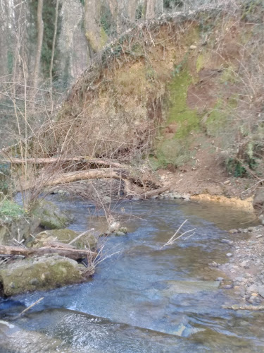 COOS Entreprise SAS - Pau