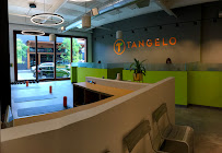 Tangelo - Portland Chiropractor + Rehab - Photo 9 - Car repair in Portland, OR, Portland