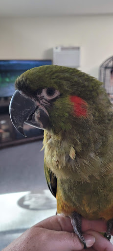 Pet Store «Leesburg Pet Center», reviews and photos, 959 N 14th St, Leesburg, FL 34748, USA