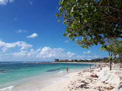 Photo de Raisins Clairs avec un rivage droit