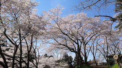 館山公園 頂上駐車場