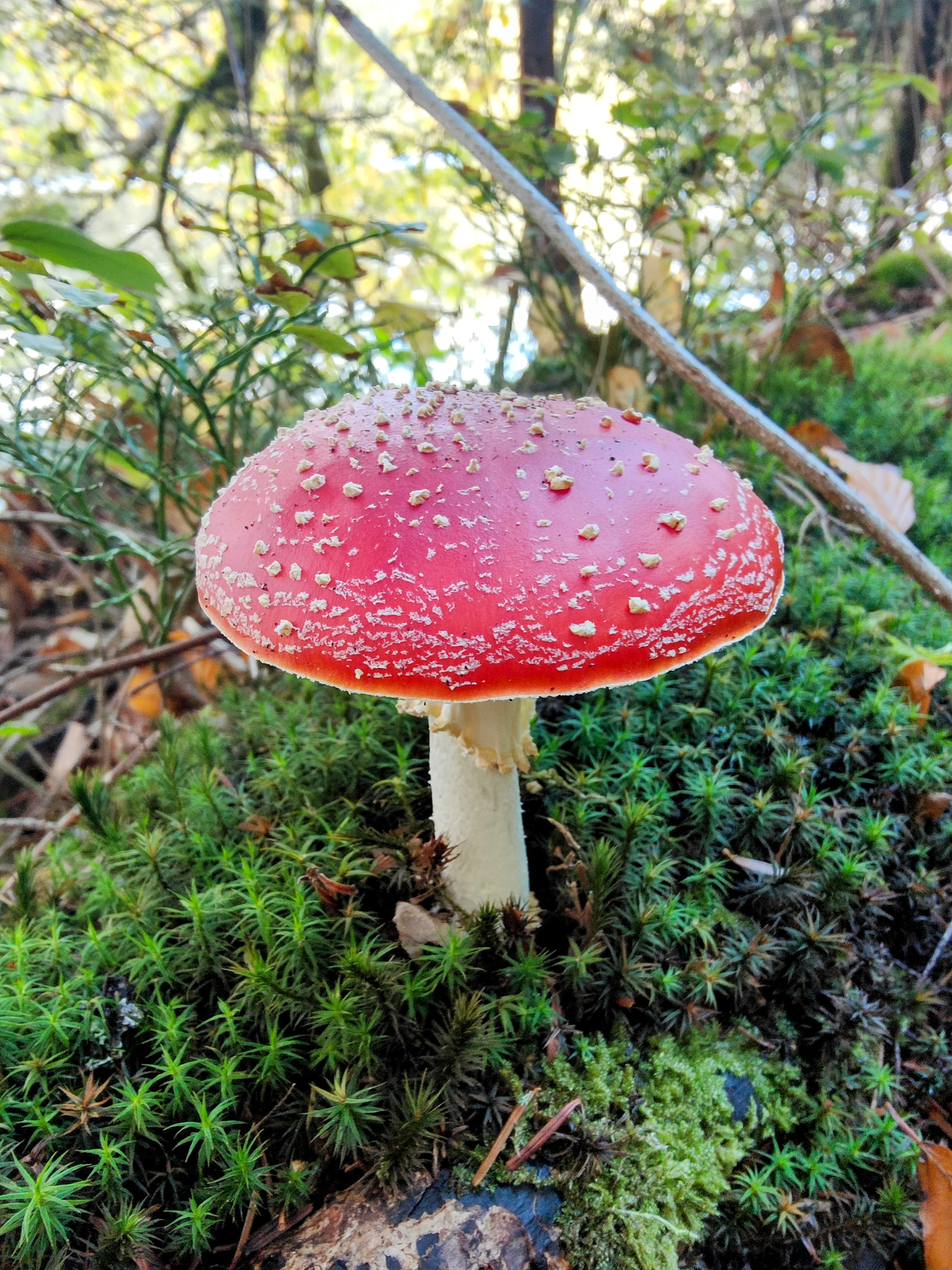 Photo n° 2 de l'avis de C..x fait le 30/10/2023 à 19:34