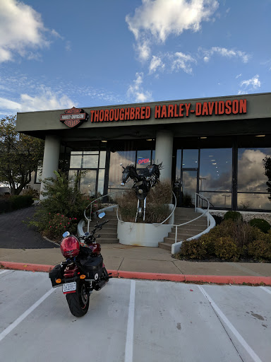 Harley-Davidson Dealer «Thoroughbred Harley-Davidson», reviews and photos, 8025 Action Blvd, Florence, KY 41042, USA