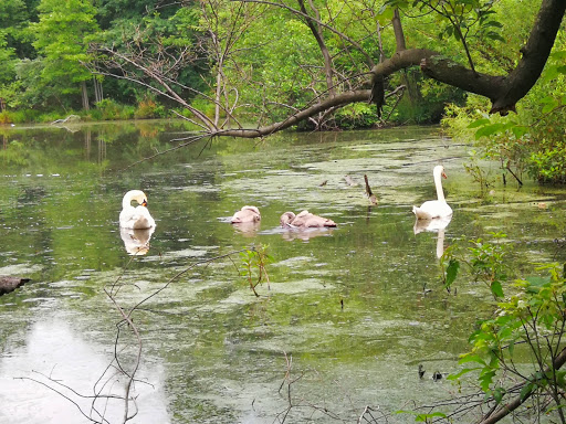 Nature Preserve «Franklin Lakes Nature Preserve», reviews and photos, 1 Nature Preserve Way, Franklin Lakes, NJ 07417, USA