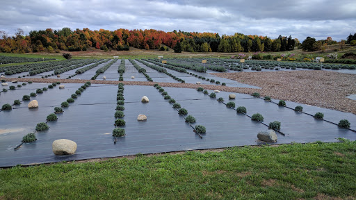 Winery «Brys Estate Vineyard», reviews and photos, 3309 Blue Water Rd, Traverse City, MI 49686, USA