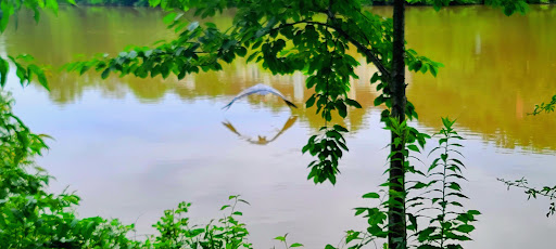 Park «Grandville Gude Park», reviews and photos, 8300 Mulberry St, Laurel, MD 20707, USA