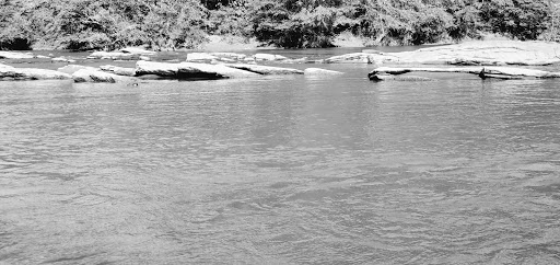 National Park «Chattahoochee River National Recreation Area, Island Ford Unit», reviews and photos, 1978 Island Ford Pkwy, Sandy Springs, GA 30350, USA