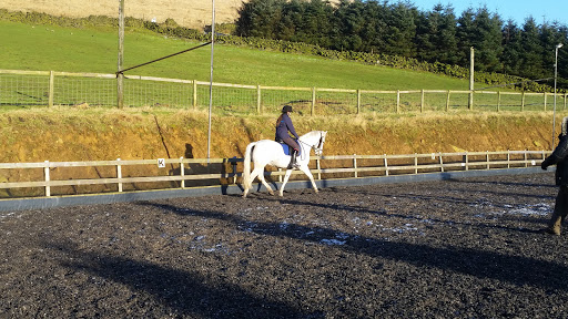 Saddleworth Stables