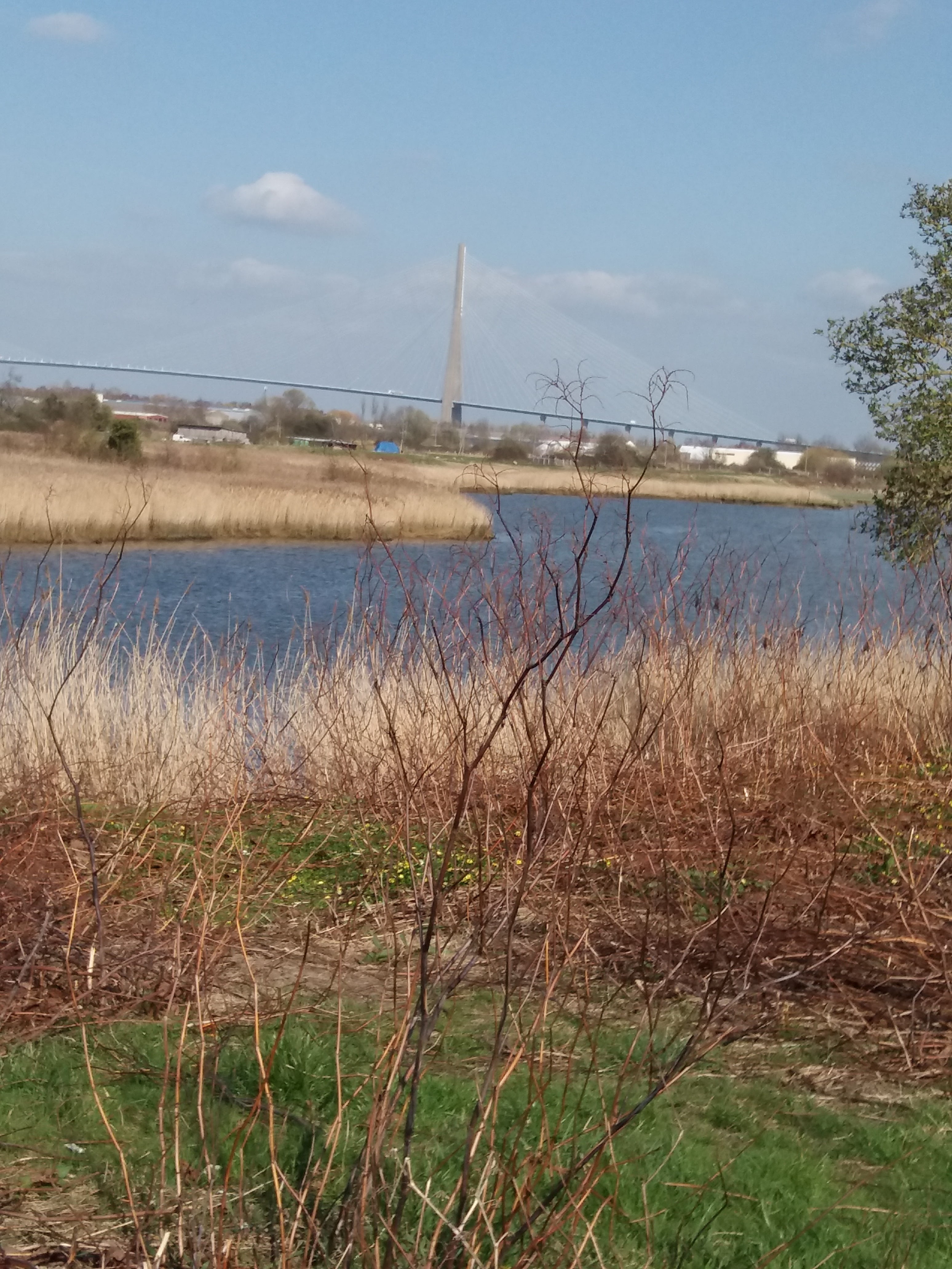 Photo n° 5 de l'avis de Boiboise.4 fait le 28/03/2019 à 20:24