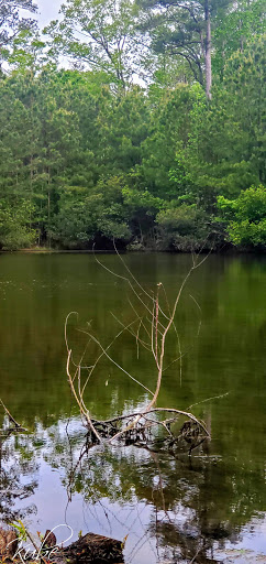 Golf Club «Peninsula Golf & Country Club», reviews and photos, 32981 Peninsula Esplanade, Millsboro, DE 19966, USA