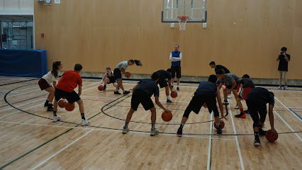 Excel Basketball