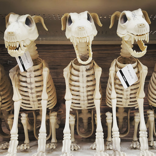 Craft Store «Michaels», reviews and photos, 2540 S Pleasant Valley Rd, Winchester, VA 22601, USA