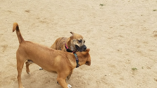 Park «West Hills County Park», reviews and photos, Sweet Hollow Rd, Melville, NY 11747, USA