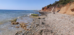 Cala Aguamarina'in fotoğrafı vahşi alan