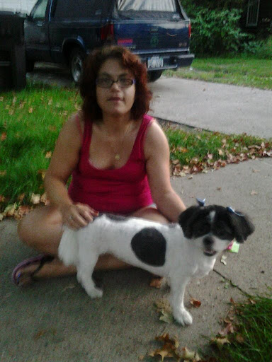 Pet Supply Store «PetSmart», reviews and photos, 5200 W Main St, Kalamazoo, MI 49009, USA