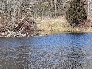 Jansen Park LLC - photo 43