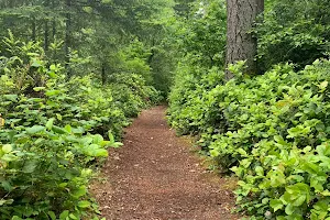 William Ives Trail image