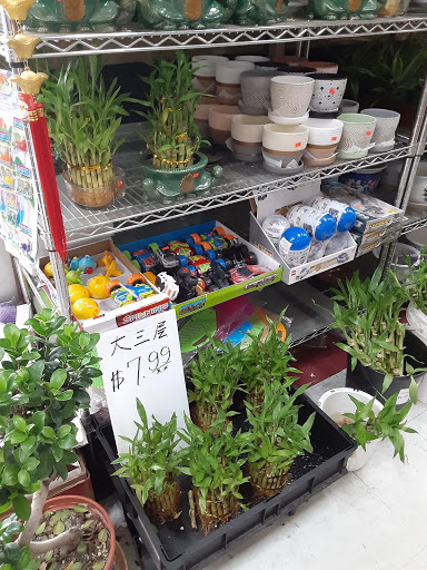 Supermarket «Ben City Supermarket», reviews and photos, 5520 Whitaker Ave, Philadelphia, PA 19124, USA