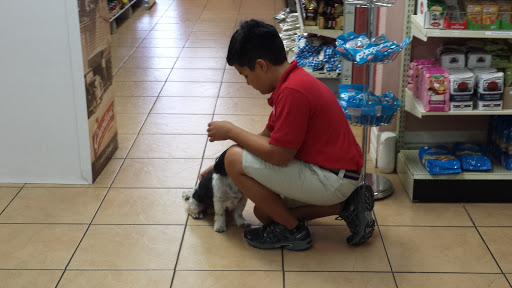 Grocery Store «Euro - Balkan Grocery», reviews and photos, 851 E State Road 434 Suite #132, Longwood, FL 32750, USA