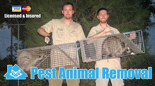 Pest Animal Removal Portland