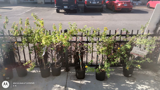 Hardware Store «Westlake Ace Hardware», reviews and photos, 4049 Somerset Dr, Prairie Village, KS 66208, USA