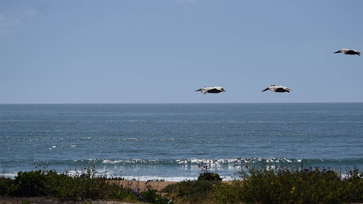 Carlsbad Chamber of Commerce image