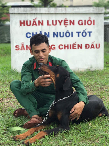 Trường huấn luyện chó tphcm - Trung tâm dạy chó sài gòn