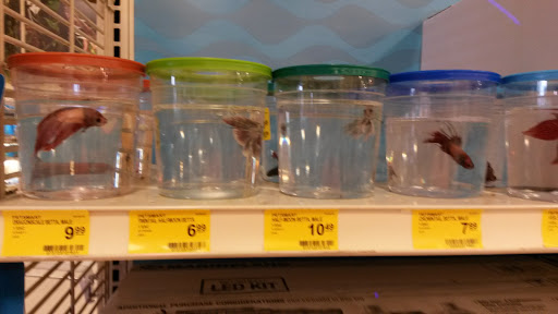 Pet Supply Store «PetSmart», reviews and photos, 2677 E Main St, Plainfield, IN 46168, USA