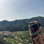 Photo n°3 de l'avis de Davide.o fait le 07/04/2024 à 18:15 sur le  Bar-Pizzeria Le Grotte da MaMa' à Toirano