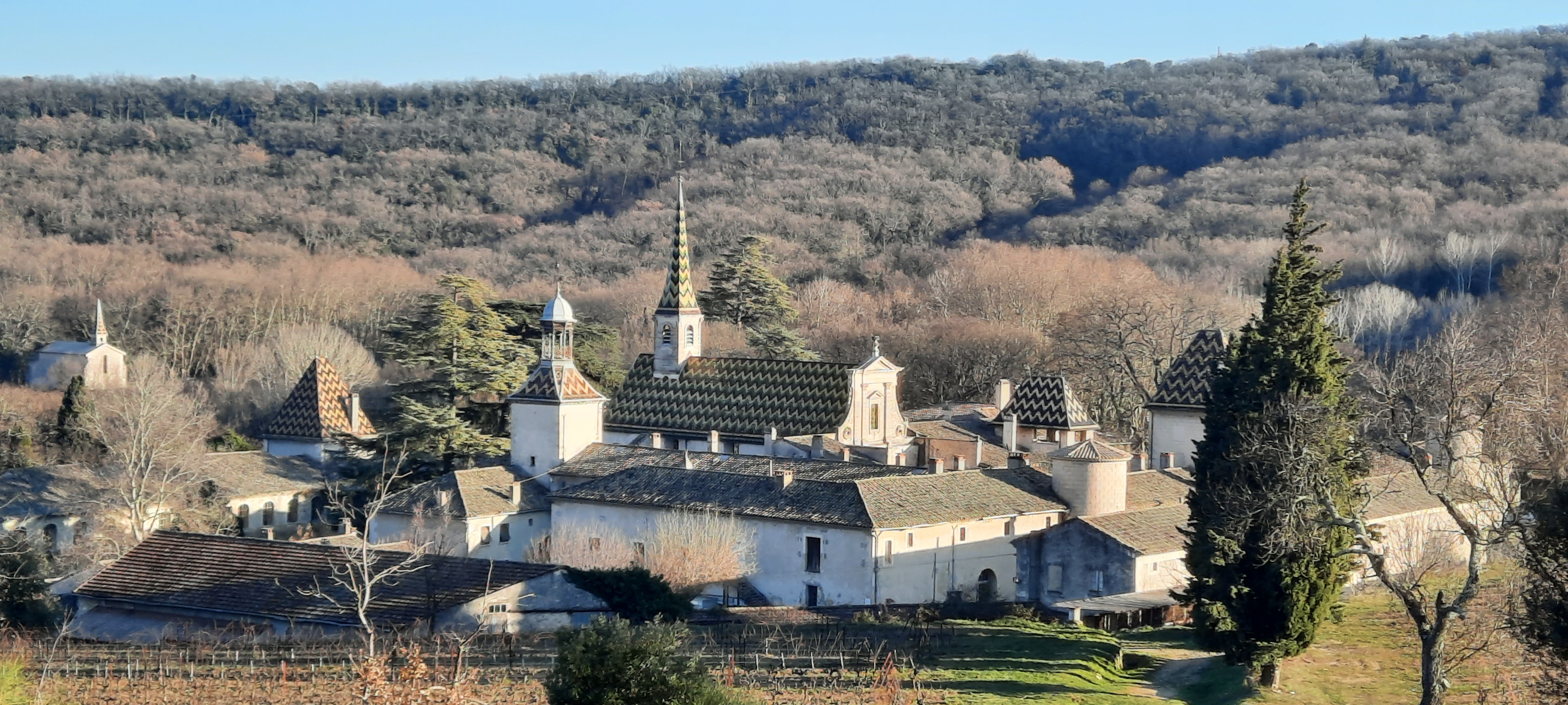 Photo n° 1 de l'avis de Gemmes.t fait le 23/01/2022 à 20:37