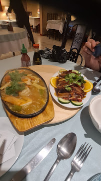 Plats et boissons du Restaurant vietnamien Le Printemps d'Asie à Carcassonne - n°4