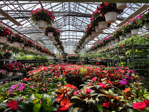 Garden Center «Westminster Nursery & Florist», reviews and photos, 30 Westminster Rd, West Hempstead, NY 11552, USA