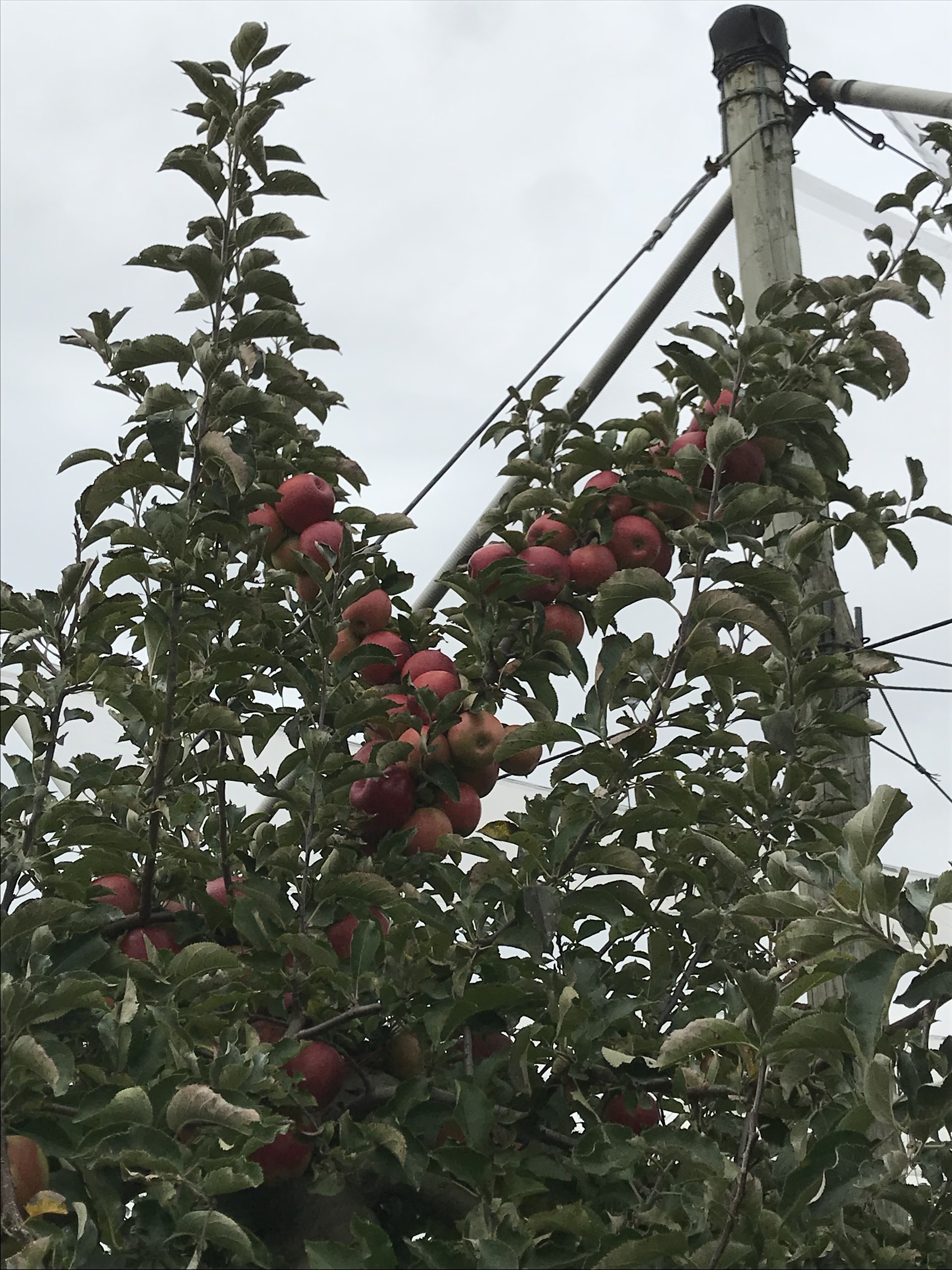 Photo n° 2 de l'avis de Thomas. fait le 07/10/2017 à 16:56