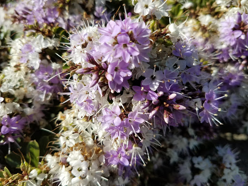 Pet Supply Store «Mini Pet Mart», reviews and photos, 815 S Broadway, Coos Bay, OR 97420, USA