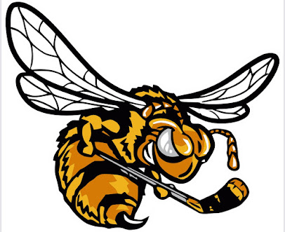 Alvinston Killer Bees Senior Hockey Club