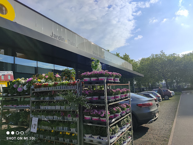 Brico Evere - IJzerhandel