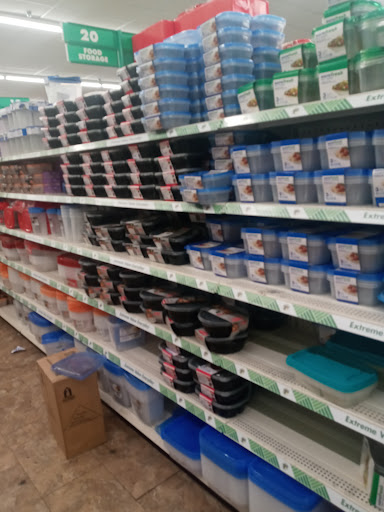 Dollar Store «Dollar Tree», reviews and photos, 9221 N 56th St, Temple Terrace, FL 33617, USA